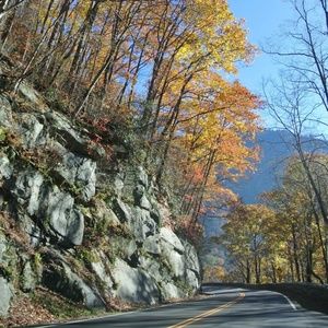 WELCOME TO MY CLOSET